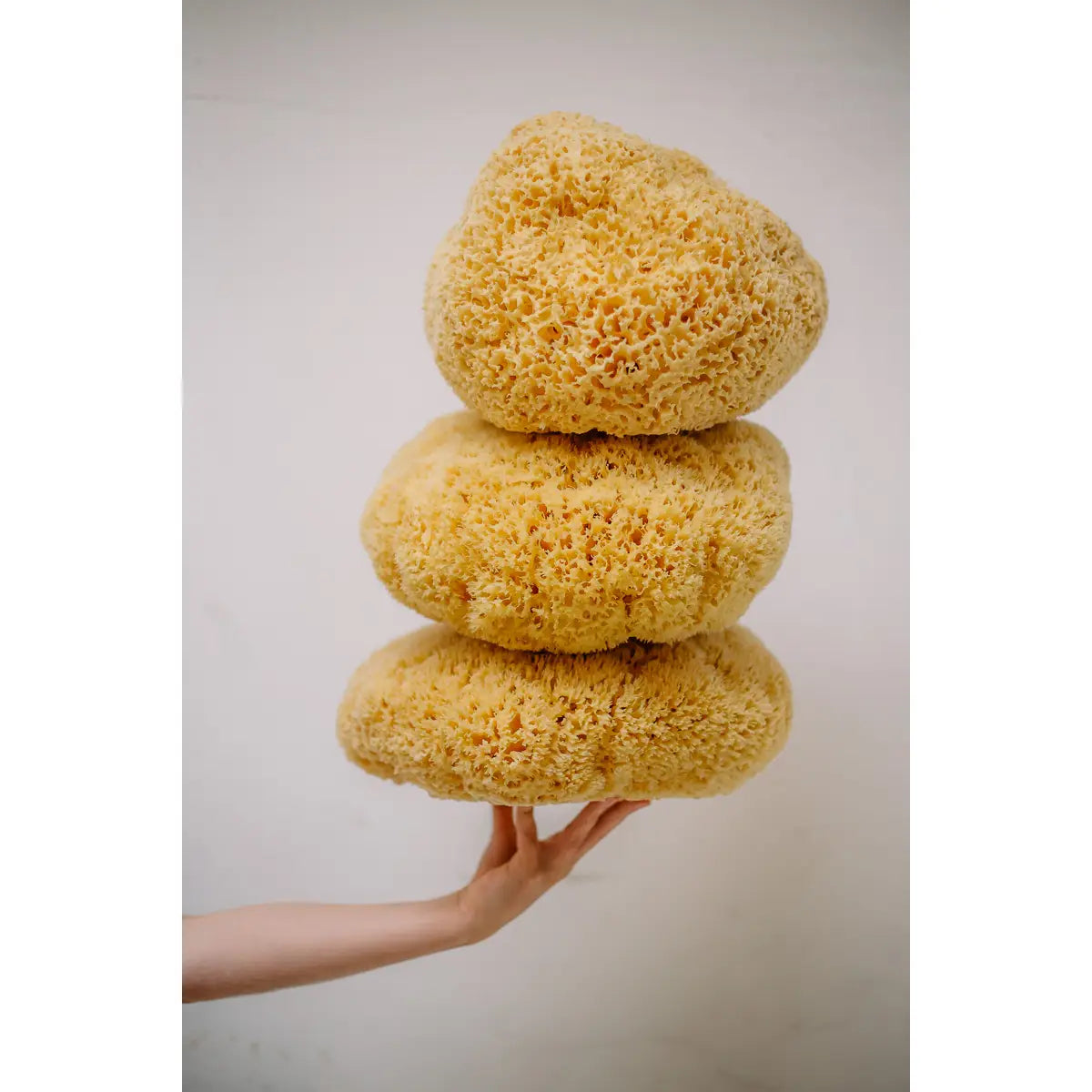 Održiva prirodna morska spužva ( veličina-S )