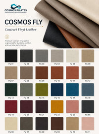 Cosmos Basic Barbie